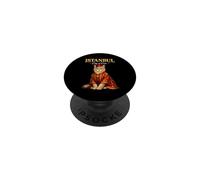 Estambul Ciudad De Gatos Tradicional Cultura Turca Otomana PopSockets PopGrip Adhesivo