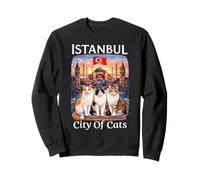 Estambul Ciudad De Los Gatos Sudadera