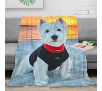 estampado 3D Perro wearing vest manta de habitación microfibra ropa de cama no desprende pelusa Beach sunset scene plaid de habitación suave para nuevos propietarios de casa 50x60inch(127x152cm)
