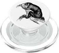 Estampado Vintage Slow Loris PopSockets PopGrip para MagSafe