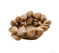 Exo Terra Frog Pond - Cuenco de Agua con Aspecto de Piedras, Ideal para Ranas, Aves de argolla y Otros Anfibios, tamaño Grande