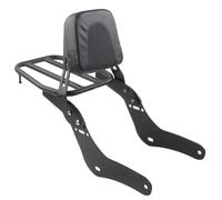 Estante Almacenamiento Cola Respaldo para Asiento Trasero de Pasajero con Barra Sissy para Motocicleta portaequipajes para Rebel CMX1100 CMX 1100 2021 2022 2023