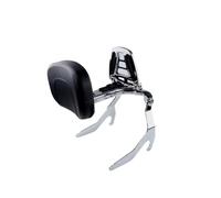 Estante Equipaje Trasero Moto Portaequipajes con Respaldo para Motocicleta Sissy Bar