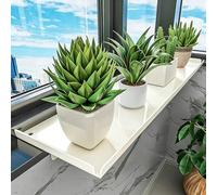 Estante extensor magnético para alféizar de ventana, colgador desmontable para plantas y gatos para jardinería interior y comodidad de mascotas