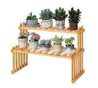 Estante para plantas de bambú de 2 niveles, soporte para plantas suculentas de interior de 15 pulgadas/40 cm, organizador de plantas de mesa, estante de escalera para plantas rústicas
