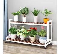 Estanteria Para Plantas Soporte Para Flores Con 2 Niveles 3 Niveles Estante De Almacenamiento De Metal Con Ruedas Ahorro De Espacio Práctico Estante De Exhibición De Flores Fácil De Montar ( Color : W