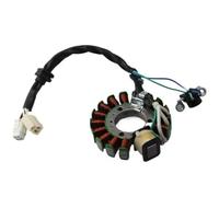 Estator Bobina Accesorios Bobina Estator Magnético Motocicleta para XN125 XN150 TEO'S YP125 YP125E YP125R Ma&Jesty 125 YP180 & 180 5DS-85510-00
