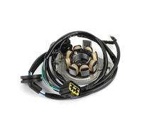 Estator Bobina Encendido para 31100-KZ4-A91 para CR125 CR125R 2000-2001 Accesorios Repuesto Generador Estator Alternador Potencia Motocicleta Resistencia Magneto Bobina Generador
