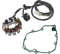 Estator Bobina Encendido Para CRF450X Para CRF 450X 2005-2009/2012-2017 1 Pieza De Estator + 1 Pieza De Junta