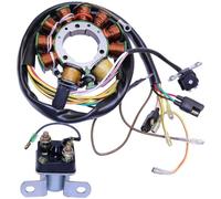 Estator Bobina para Polaris para Magnum para Scrambler para Sportsman 1995-2002 Relé De Solenoide Arranque del Estator Magnético 3084974 3086860 Estator Coil