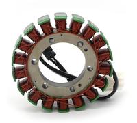 Estator Bobina Para Triumph Para Daytona Para Speed TT600 Para Speedmaster Para Scrambler Bobina Del Estator Magnético De Motocicleta T1300148 Estator Coil