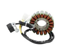 Estator D406 for People250 EGO250 Bet&Win250 Xciting250 Dink250 2001-2009