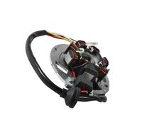 Estator de bobina de encendido de motocicleta apto for 491 50 AC GT LC GP RR SP carreras deporte Superbike Rage SBK K2 50 AC LC 03 Naked 50 AC