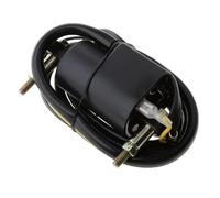 Estator De Bobina Magnética Bobinas De Encendido Universales Motocicleta Para Suzuki 33410-44X50 33410-44120 33420-44120 33410-45012 33410-45010 33420-45010 Encendido Motor