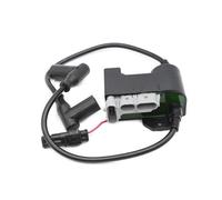 Estator De Bobina Magnética Para Ski-Doo Scandic SWT WT 500 Para Tundra Para Expedition MX Z TNT Para Grand-Touring GSX Sport 550F Conjunto De Bobina De Encendido Encendido Motor