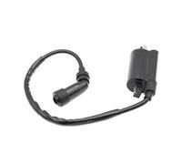 Estator De Bobina Magnética para Suzuki AN250 AN400 EN125 GN125 DF125 DF200 DR125 DR125SE 1994-2002 Bobina De Encendido del Motor De Motocicleta 33410-14F00 33410-05H00 Bobina Encendido Motor