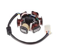 Estator de volante magnético de 6 polos de bobina, 110 cc y 125 cc, Pit Quad Dirt Bike ATV Buggy
