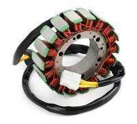 Estator del generador de magneto compatible con F650 1993-2000 F650 ST 1996-2000 12112343132