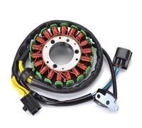 Estator Encendido Carga Compatible Con Suzuki Para DR250R 1998 1999 2000 Para DRZ250 2001 2002 2003 2004 2005 2006 2007 32101-13E00 Accesorios De Bobina De Estator De Motocicleta