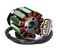 Estator Encendido Carga Compatible Con Yamaha Para YZF-R1 Para YZFR1S 2004 2D1-81410-10-00 Bobina De Estator Del Generador De Motocicleta Accesorios De Bobina De Estator De Motocicleta