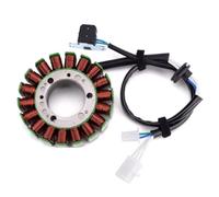 Estator Encendido Carga Compatible Con Yamaha Para YZF600R Thundercat 1995 1996 1997 1998 1999 2000 2001 2002 2003 2004 2005 2006 2007 4JH-81410-00 Bobina De Estator De Motocicleta