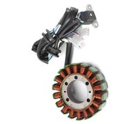 Estator Encendido Carga Compatible Con Yamaha SRV250 Renaissa 250 1996 1997 3TB-81410-00 Bobina Estator De Motocicleta Bobina De Encendido De Placa De Estator Magneto Motocicleta
