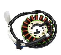 estator Encendido Magneto Bobina De Magneto del Estator Compatible para TTR250 TTR 250 1999-2006/TT250R TT-R 1993-2004/TT250R TT 250R TT250 RCoil 4GY-81410-01-00
