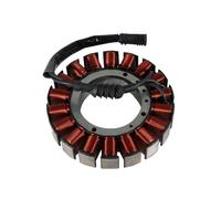 estator Encendido Magneto Bobina del Estator Generador De Motocicleta Magneto para Barossa ATV 503 500 para Canyon 520 35560-CGV-00