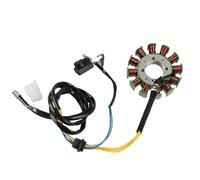 estator Encendido Magneto Estator De Encendido Motocicleta Magneto 5 Cables 12 Polos Bobina Adecuada para CG125 ZJ125 CG ZJ 125 125cc200cc250cc