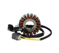 estator Encendido Magneto Piezas De Bobina Encendido del Estator para Access ATV AMS 430 EFI AMX 3.20 4.30 SX SM para Xtreme 300 Supermoto 31120-E10-100