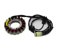 Estator magnético Bobina del estator Magneto de Motocicleta 21003-0095 para Kawasaki KVF360, para Prairie 360 4X4, para Advantage Classic APG HD