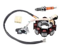 Estator magnético de Bobina de Motor para Motocicleta, vehículo Todoterreno, ATV, Motocicleta de Playa CG 125, 150, 200, 250cc