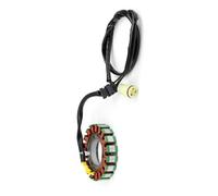 Estator magnético Magneto De Bobina Estator para Motocicleta para Kawasaki KVF700 para Prairie 700 4X4 Hardwoods Green HD para Team para Special Edition