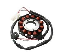 Estator Magnético para Xmax para Evolis para Tricity 300 300cc Xmax250 Xmax300 Evolis300 B74-H1410-00 Bobina De Scooter Magneto Estator 1x