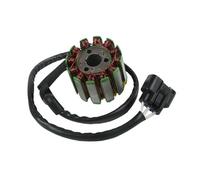 Estator Magneto Bobinas Motor Generador De Encendido Magnético para Motocicleta, Conjunto Rotor Y Volante, Bobina Estator para YZF R1 (2004-2008) FZ1 (2006-2010)