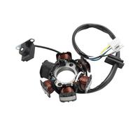 Estator Magneto Bobinas Motor Placa De Estator Magnético Motocicleta, Bobina Encendido, Magneto 5 Cables Y 6 Bobinas para Activ 110 50 Unik Nexxon 125