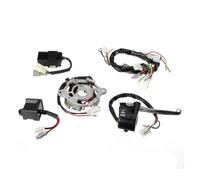 Estator Magneto Bobinas Motor Placa Estator Magnético Motocicleta, Arnés Cableado Interruptor Encendido, Unidad CDI, Palanca Freno Ensamblaje para PW50
