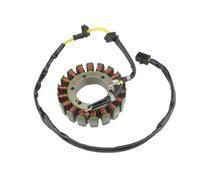 Estator moto Bobina De Estator Y Magneto Motocicleta Para NT400 Bros (NC25) NT650 Hawk GT NTV600 Revere RC33