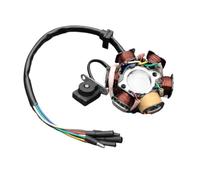 Estator moto Estator De Volante De Inercia De 6 Polos Para 50 Cc 70 Cc 90 Cc 110 Cc 125 Cc 150 Cc PIT Quad ATV Buggy PPZAN