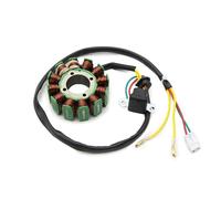 Estator motocicleta Bobina de estator magnético para motocicleta compatible con KTM 250 350 y Husqvarna FC350 FC250 77239004000 77139004000