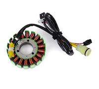 Estator motocicleta Bobina del estator Bobina del estator del generador compatible con Husqvarna TE610 SM610 TE630 SMS630 Depot SM630 8000A6778 8000A6767