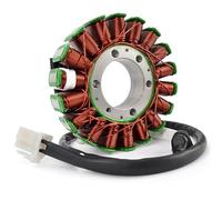 Estator motocicleta Bobina del estator Bobina del estator del generador de motocicleta compatible con Triumph Tiger 1050 SPORT Speed Triple 1050 1050R Sprint ST 1050