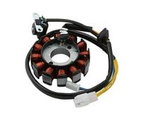 Estator Motocicleta Piezas Estator Bobina Magneto Patinete 31120-LGS6-E10 para Kymco para Agility para City 125i para Agility150 R16 E4 para Like 200 I LX E3 Magneto Bobina Generador