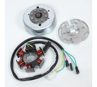 Estator rotor de encendido original para moto Derbi 50 Senda 2005 82829R / Ducati