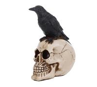 Estatua de cuervo en calavera, cuervo sobre esqueleto, decoración de Halloween, figura realista de pájaro aterrador posado para el hogar, patio, oficinas, restaurantes