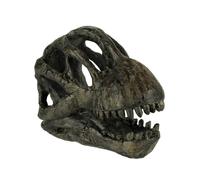 Estatua f sil de cr neo de dinosaurio Brachiosaurus de Things2Die4, peque a, de 15 cm de largo