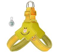 Este arnés antitirones en Forma de Y está diseñado específicamente para Australian Cattle Dog. Cuenta con luz LED, Bandas Reflectantes y un Chaleco Acolchado, cómodo y Transpirable. Green XS