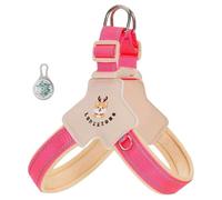 Este arnés antitirones en Forma de Y está diseñado específicamente para French Bulldog. Cuenta con luz LED, Bandas Reflectantes y un Chaleco Acolchado, cómodo y Transpirable. Pink M