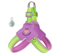 Este arnés antitirones en Forma de Y está diseñado específicamente para French Bulldog. Cuenta con luz LED, Bandas Reflectantes y un Chaleco Acolchado, cómodo y Transpirable. Fuchsia XS