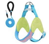 Este arnés y Correa antitirones en Forma de Y está diseñado para Airedale Terrier e Incluye un Chaleco Acolchado Ajustable para el Pecho y Tiras Reflectantes. Green S+3M